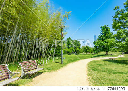 Forest of learning, park full of greenery <Kakamigahara City, Gifu Prefecture> 77691605