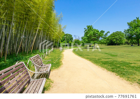 學習之林、綠意盎然的公園<岐阜縣各務原市> 學習之林、綠意盎然的公園<岐阜縣各務原市> 77691761