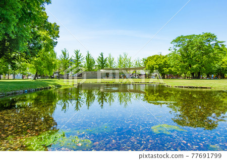 學習之林、綠意盎然的公園<岐阜縣各務原市> 學習之林、綠意盎然的公園<岐阜縣各務原市> 77691799