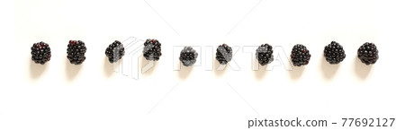 Blackberries on a white isolated background Blackberries on a white isolated background 77692127