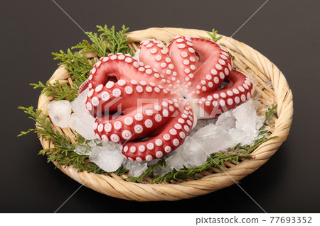 Mexican octopus Mexican octopus 77693352