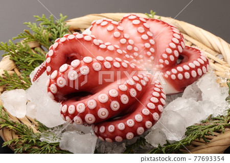 墨西哥章魚 77693354