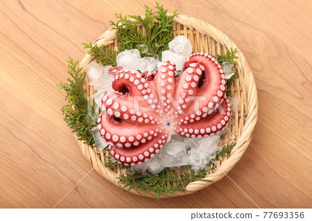 墨西哥章魚 77693356