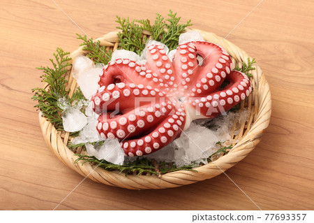 Mexican octopus 77693357