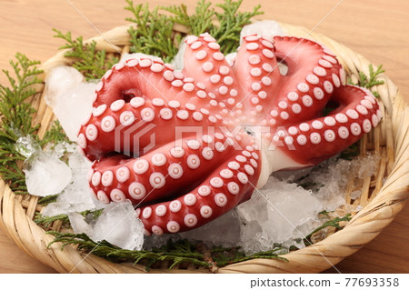Mexican octopus 77693358