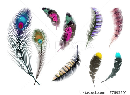 Bright feathers. Neon color decorative feather, peacock accessory. Realistic flying elements isolated vector set 77693501