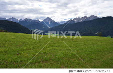 Meadow on the valley Meadow on the valley 77693747