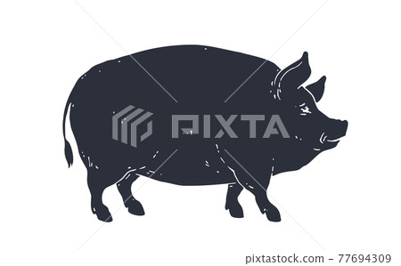 Pig, silhouette. Vintage logo, retro print, poster Pig, silhouette. Vintage logo, retro print, poster 77694309