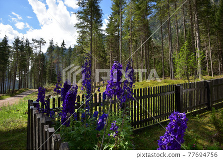Garden corner Garden corner 77694756