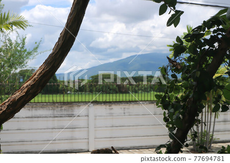mountain, field and wall mountain, field and wall 77694781