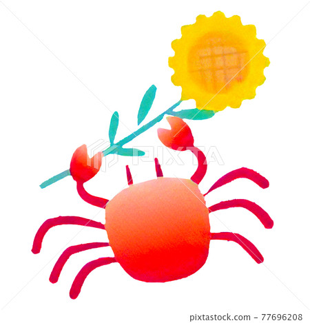 一隻向日葵的螃蟹插圖 77696208