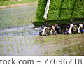 Rice planting work 77696218