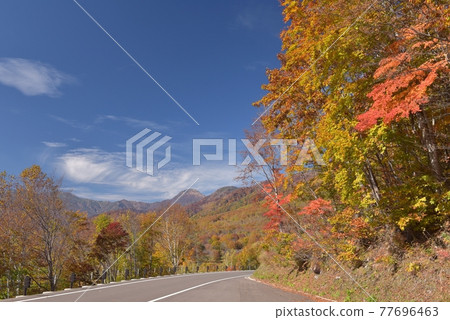 眺望遠處陽光明媚的妙高笹峰高原和新潟燒山 拍下美麗的紅葉照片 照片素材 圖片 圖庫