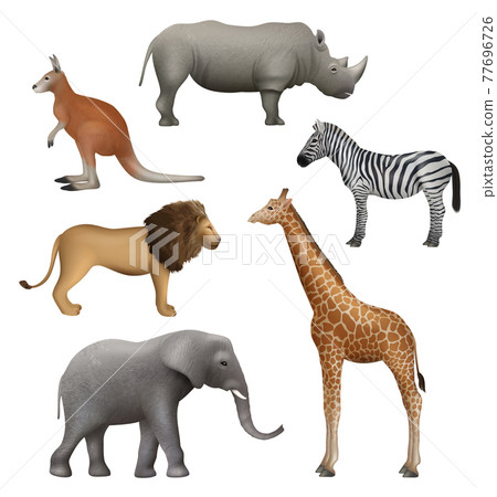 Wild realistic animals. Elephant kangaroo lion zebra rhinoceros african safari collection decent vector illustration Wild realistic animals. Elephant kangaroo lion zebra rhinoceros african safari collection decent vector illustration 77696726