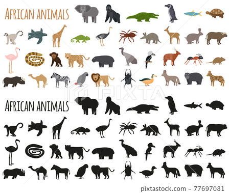 Set of African animals in flat style and... - Stock Illustration ...