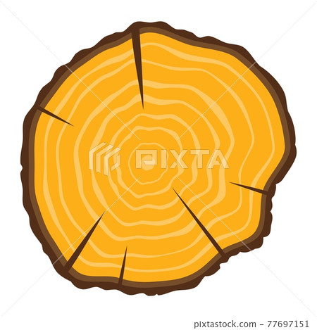 Tree growth rings icon 77697151