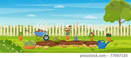 garden with green grass, garden with green grass, 77697185