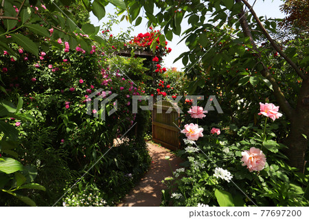 <Kanagawa> Yokohama English Garden <Kanagawa> Yokohama English Garden 77697200