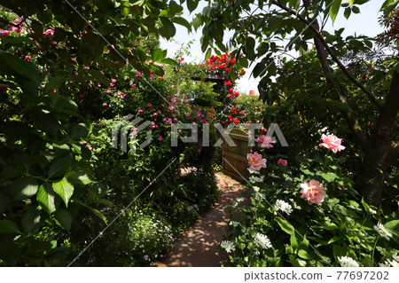 <神奈川>橫濱英式花園 <神奈川>橫濱英式花園 77697202
