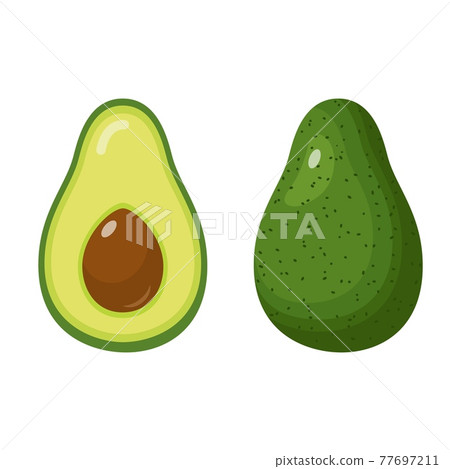 avocado food icon. avocado food icon. 77697211