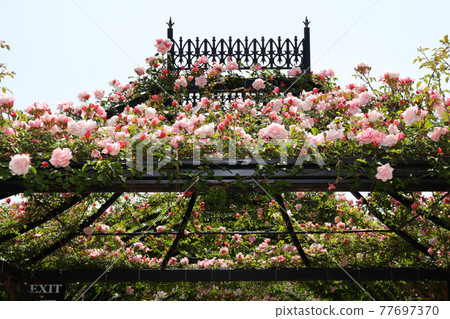 <神奈川>橫濱英式花園 <神奈川>橫濱英式花園 77697370