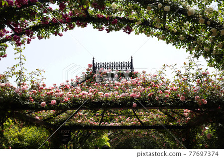 <神奈川>橫濱英式花園 <神奈川>橫濱英式花園 77697374