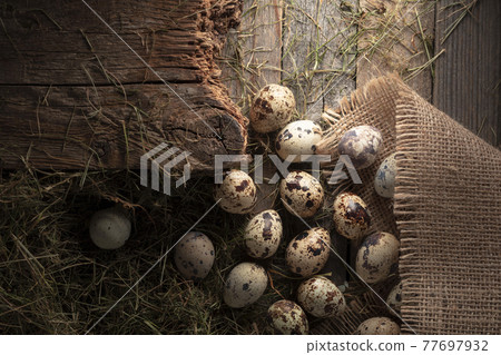 Quail eggs on an old wooden table. 77697932
