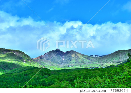 那須和喬蘇山慶祝新鮮的綠色季節 那須和喬蘇山慶祝新鮮的綠色季節 77698654