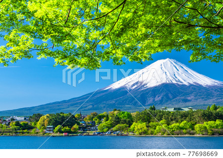 《山梨縣》富士山和翠綠的河口湖 《山梨縣》富士山和翠綠的河口湖 77698669