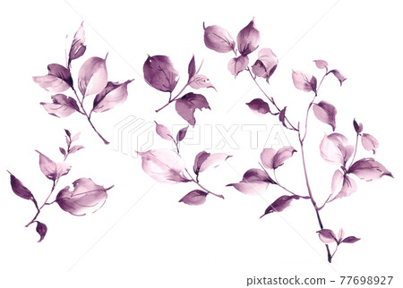 色彩豐富的花卉素材組合和設計元素 色彩豐富的花卉素材組合和設計元素 77698927