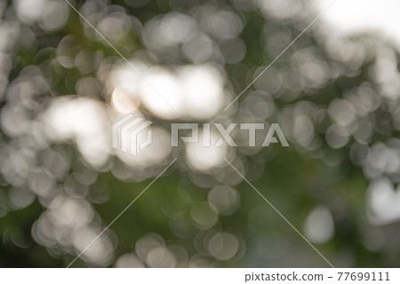 Green plants Green plants 77699111