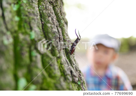 Children's summer vacation Children's summer vacation 77699690