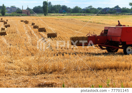 Rectangular baler discharges a straw bale in a field during the harvesting process 77701145