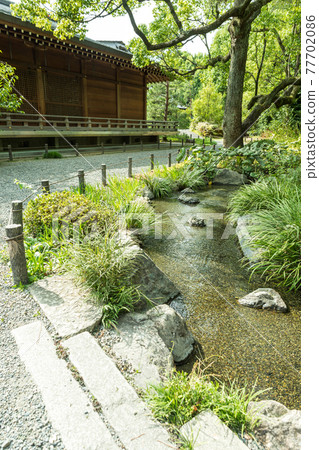 Water flows along the road leading to Jonangu Shrine and the dazzling green garden of Heian. 77702086