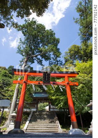 月讀神社的夏日風光 77702142