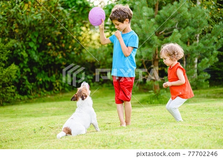 Children training family pet to play with and fetch flying disc 77702246