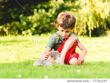 Kid boy cares about his pet cat petting her while sitting on back yard lawn on sunny summer day Kid boy cares about his pet cat petting her while sitting on back yard lawn on sunny summer day 77702247