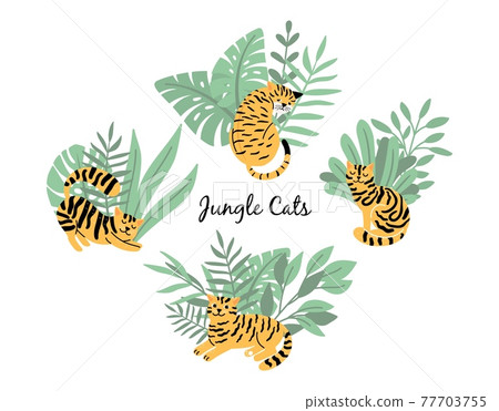 Cats tigers in jungle plants Cats tigers in jungle plants 77703755