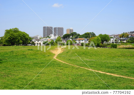 April Koganei 232 Wakaba / Fresh green field and Kokubunji cliff line / Musashino Park April Koganei 232 Wakaba / Fresh green field and Kokubunji cliff line / Musashino Park 77704192