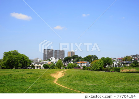 4 月小金井 231 若葉 / 新綠的原野和國分寺懸崖線 / 武藏野公園 77704194