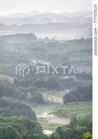 晨霧瀰漫的三石森林公園 晨霧瀰漫的三石森林公園 77705020