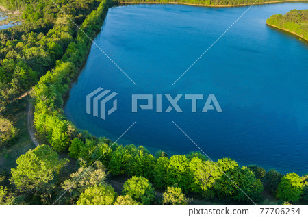 Aerial view of pond on a sunny summer day forest panorama Aerial view of pond on a sunny summer day forest panorama 77706254