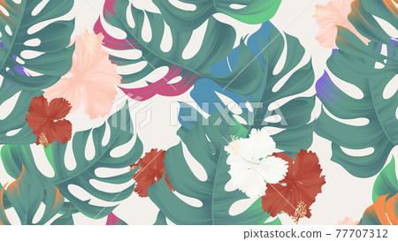 Tropical seamless pattern, colorful split-leaf Philodendron plant and hibiscus flowers Tropical seamless pattern, colorful split-leaf Philodendron plant and hibiscus flowers 77707312