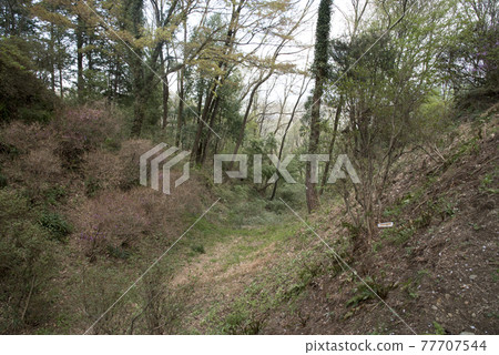 鈴岡城跡主郭出丸之久堀 鈴岡城跡主郭出丸之久堀 77707544