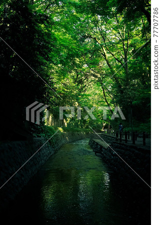 都市綠洲，Todoroki Ravine Park 77707786