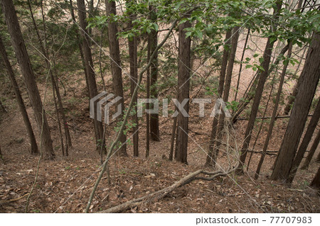 Komaba Castle Ruins Komaba Castle Ruins Main Guo ~ 2 Guo Sky Moat 77707983