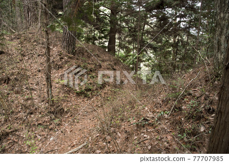 Horikiri of Komaba Castle 77707985