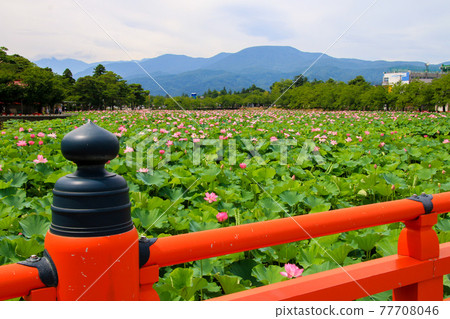 Takada Park 77708046