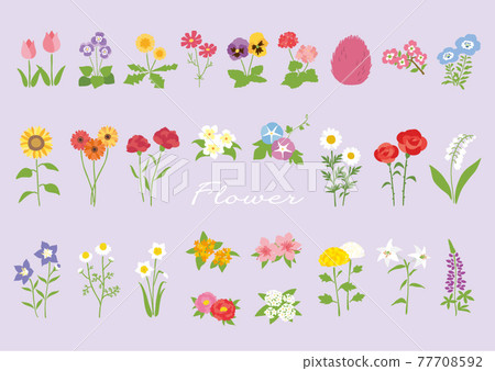 Various flowers 77708592