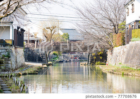 Hachimanbori, Omihachiman City, Shiga Prefecture 77708676
